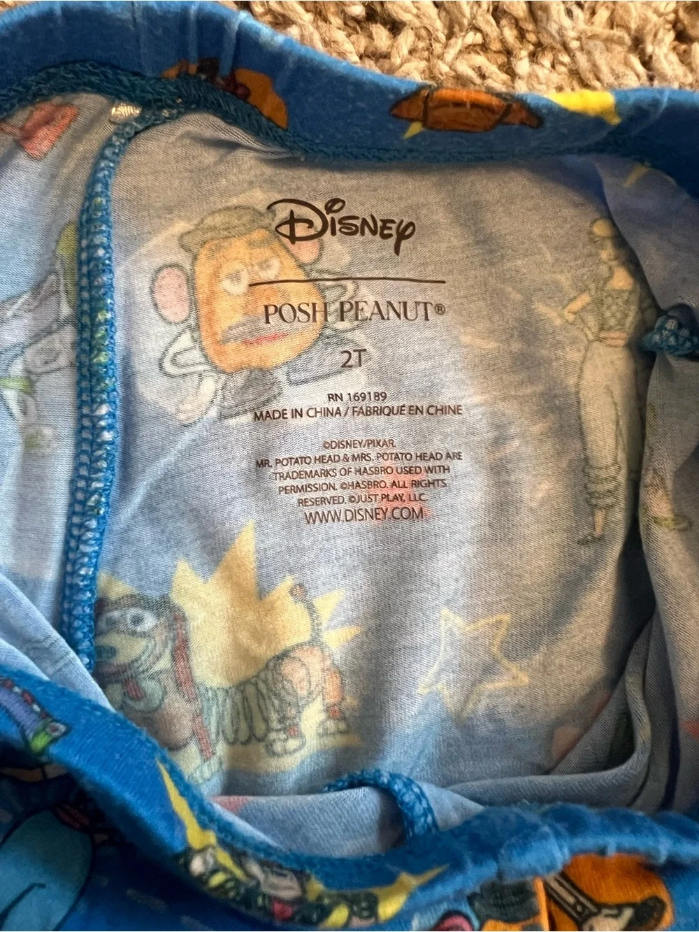 Blue 2T Toy Story Posh Peanut Pajama Pants